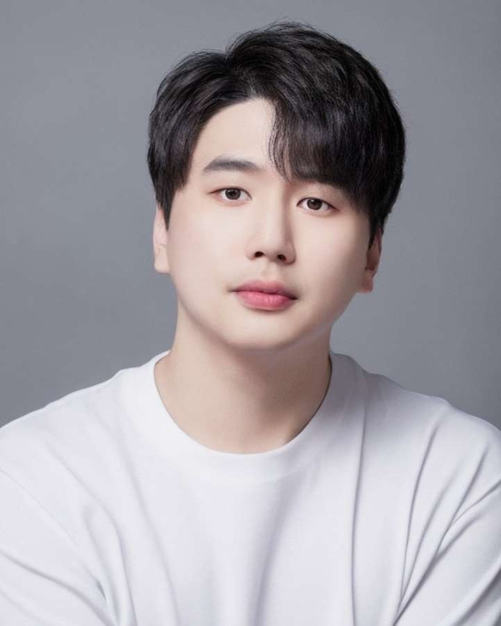 스티브안 프로필
